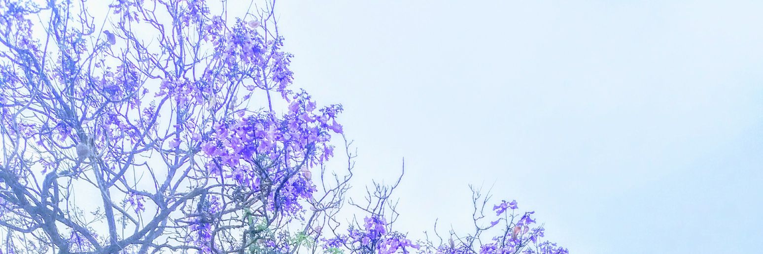 Kimbles12345's profile banner image