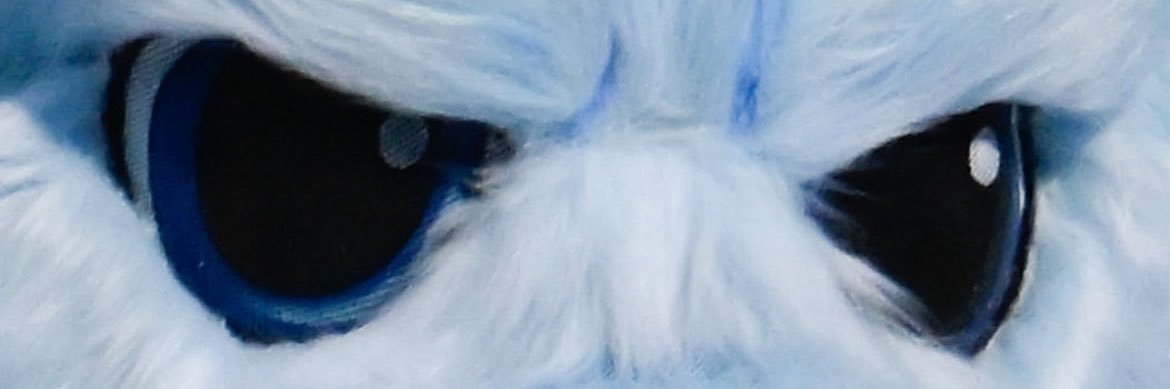 Bridger 🦣⚡️ banner