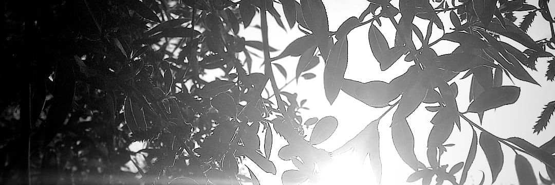 aybukeeykr's profile banner image