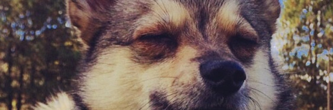 RenePortelance's profile banner image