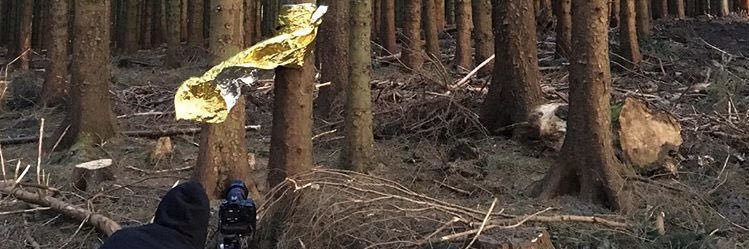 deeddanny's profile banner image