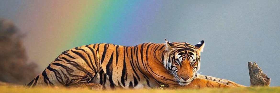 Harésh Subramaniyan banner