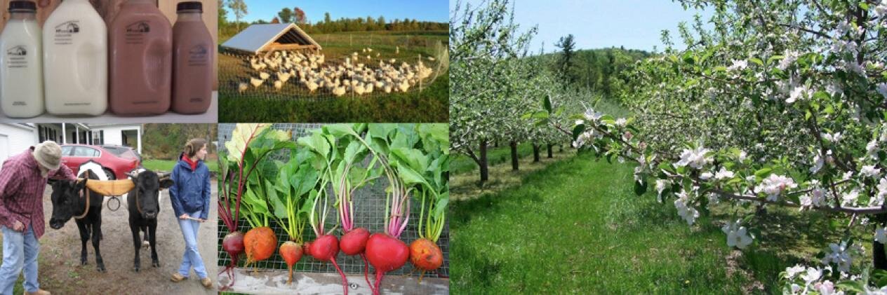 NHFarmsNetwork's profile banner image