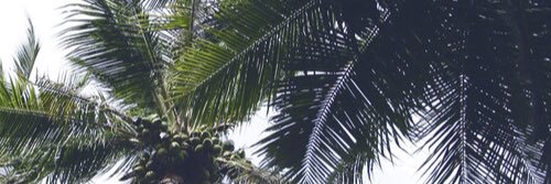 deynnaortiz's profile banner image