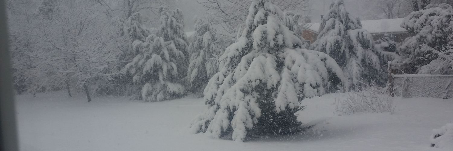 awonda's profile banner image