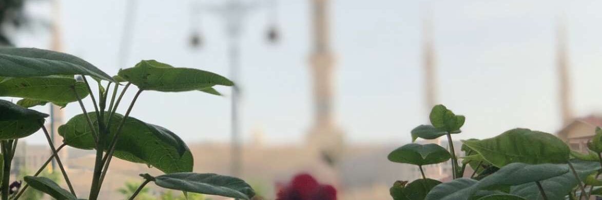 meroo22221's profile banner image