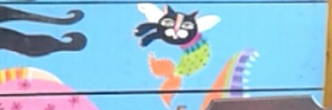 _DVJ's profile banner image