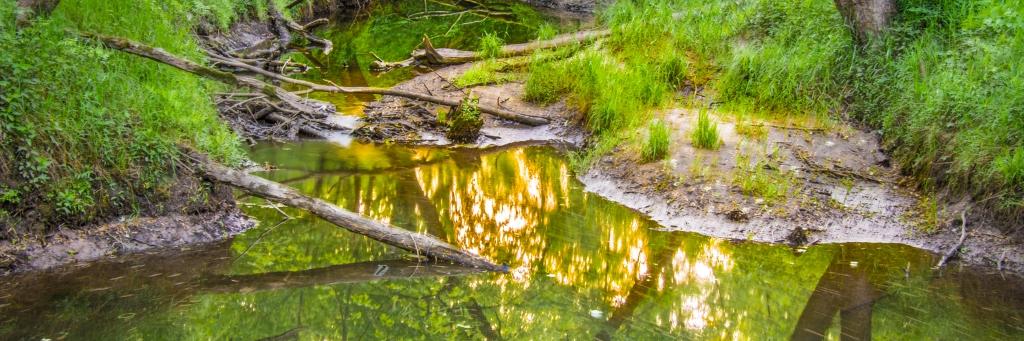 Beaver Creek Reserve banner