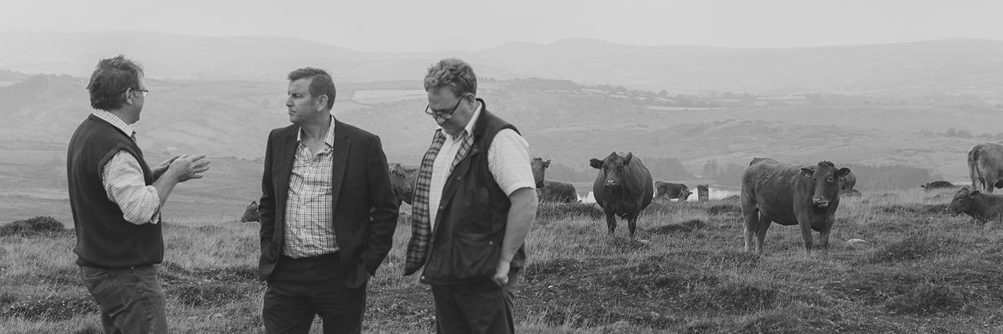GribblesButcher's profile banner image