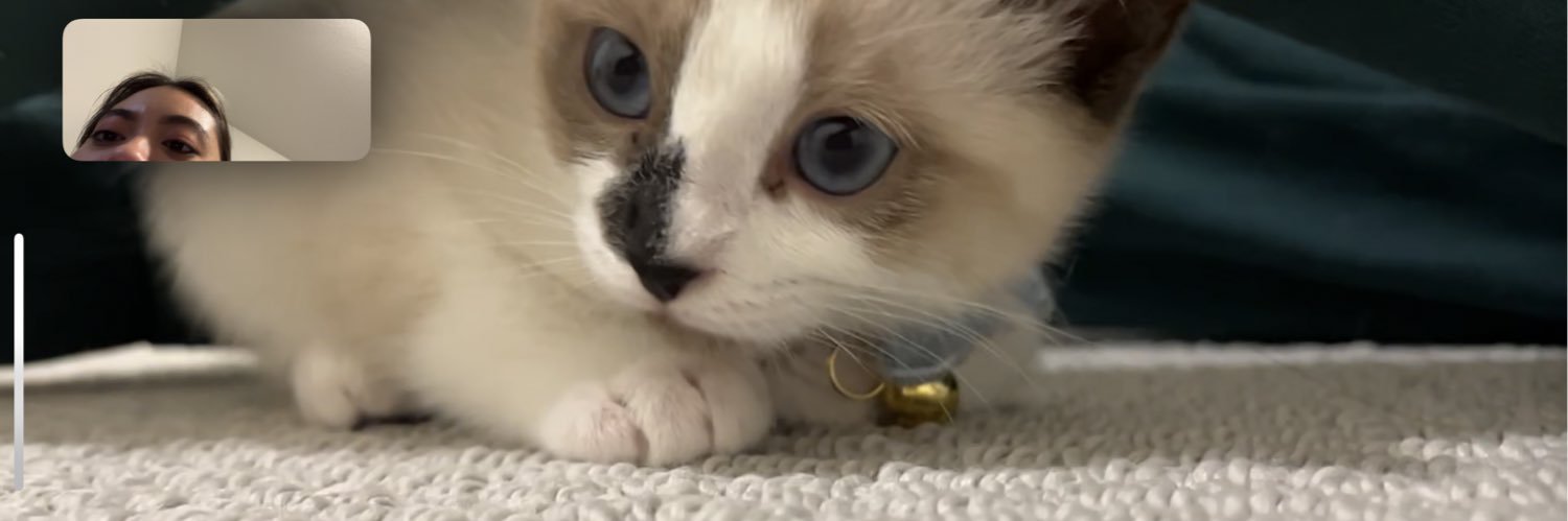 izabella⁷∞ banner