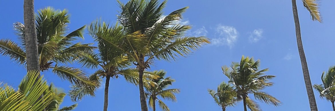 CieloDemonte's profile banner image