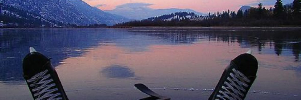 Phil Roy banner