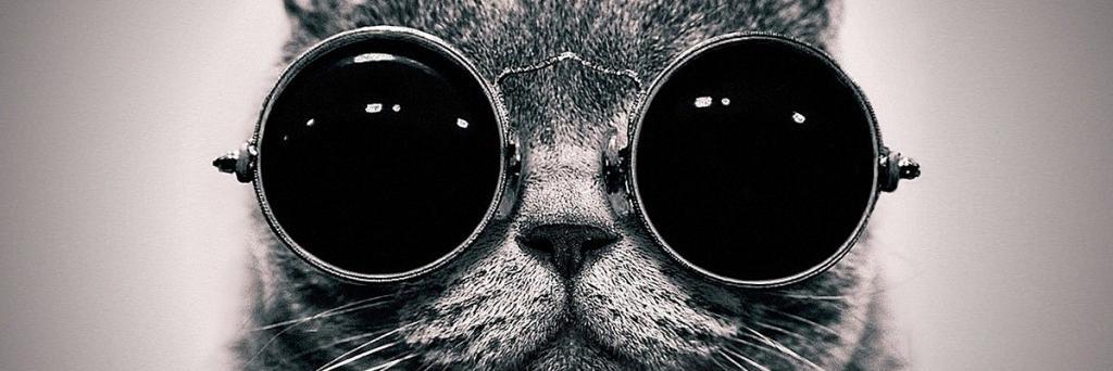 elmalifi's profile banner image