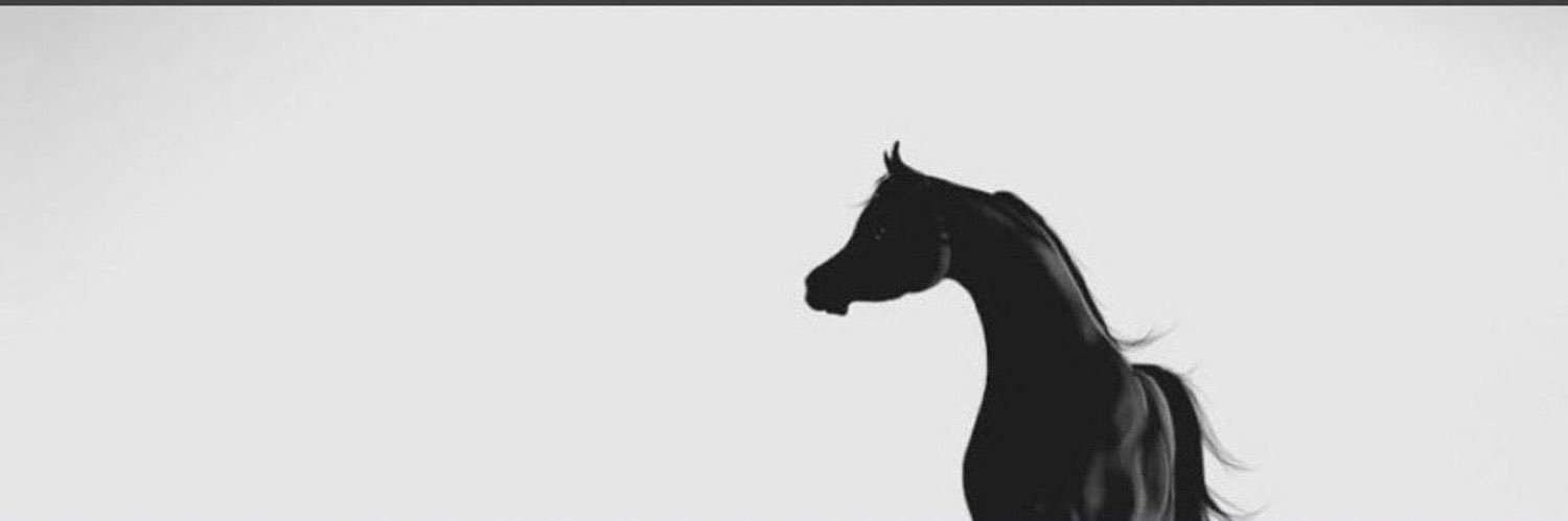 _iwda's profile banner image