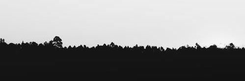 kaahnhee's profile banner image