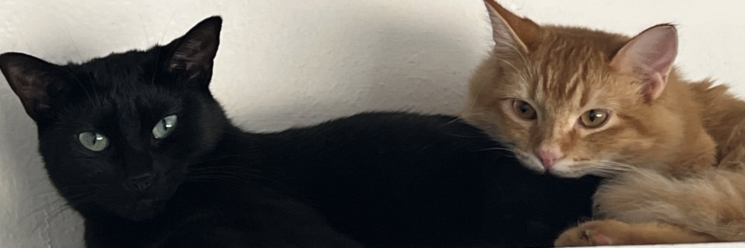 inezsilva121's profile banner image