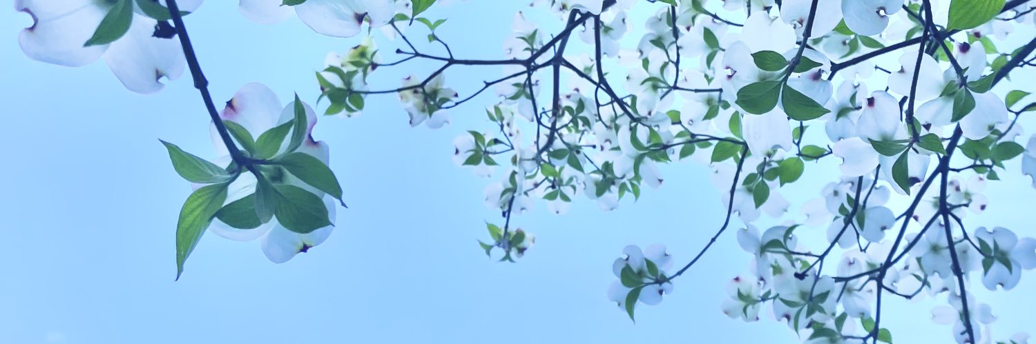 kuuchannel's profile banner image