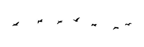 caitlinmanry's profile banner image