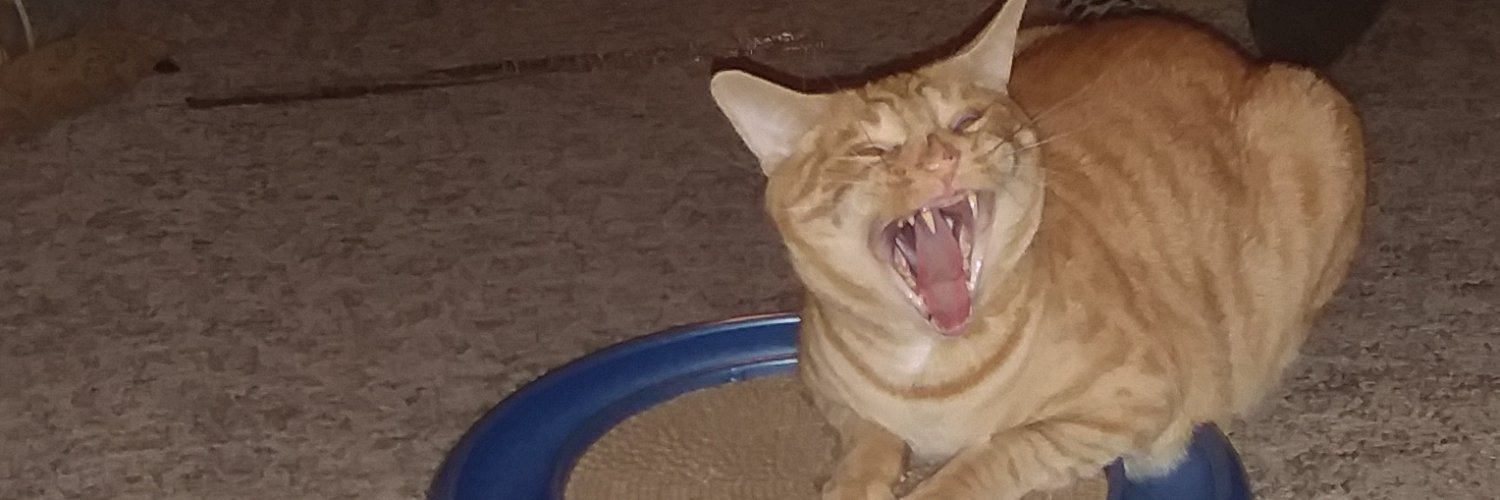 Theresa Sickles banner