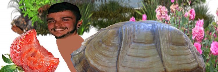 MattLaTorreProb's profile banner image