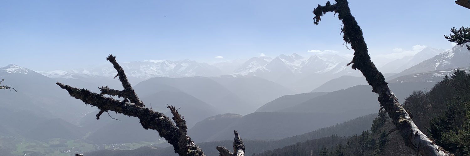 DelinFelix's profile banner image