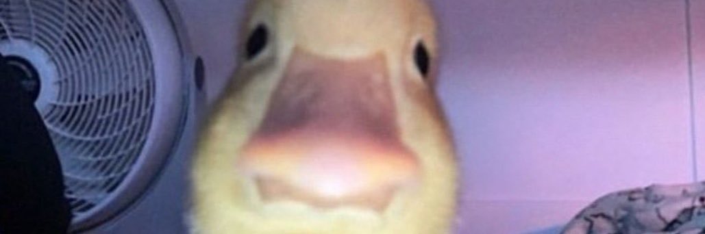 clariissaaaa_'s profile banner image