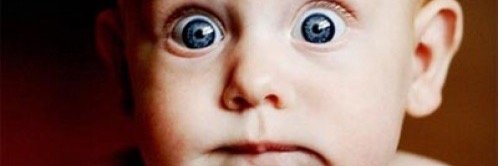 katty alonso banner