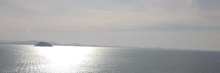 samara_reimer's profile banner image