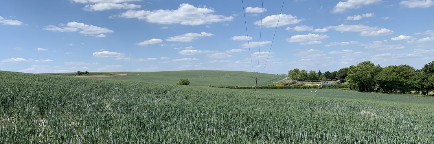 Piers Harding-Rolls banner
