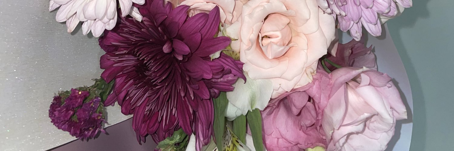 janeromn's profile banner image