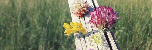 sa_ru21's profile banner image