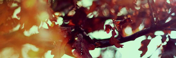 julieric's profile banner image
