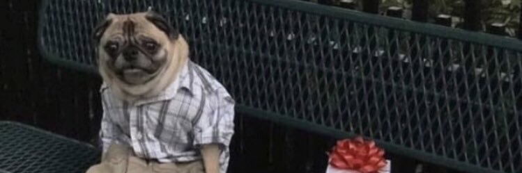 BrandonKray's profile banner image