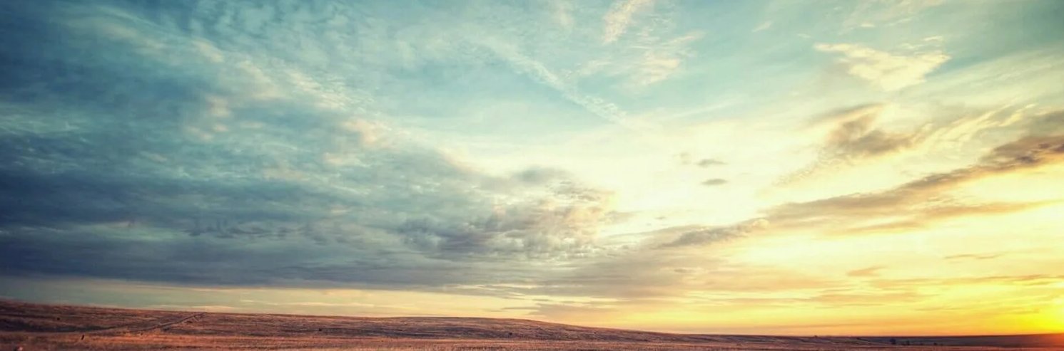 SallisawSports's profile banner image