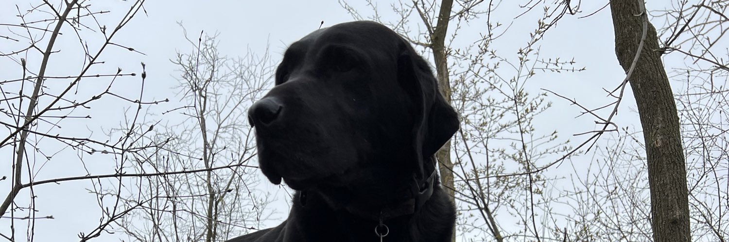 slarson28's profile banner image