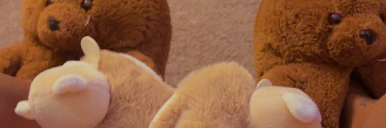 LayRose_'s profile banner image