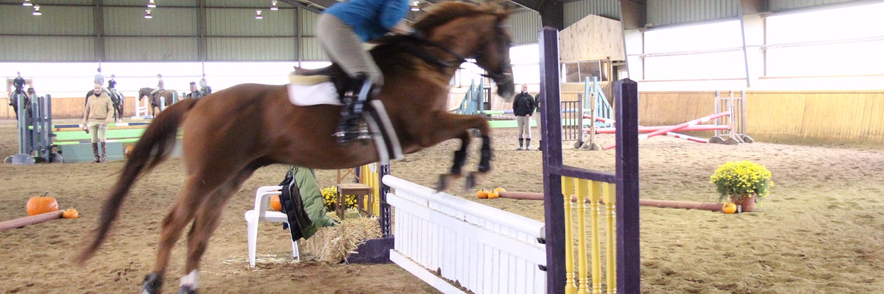 Wise Old Barn Bitch banner