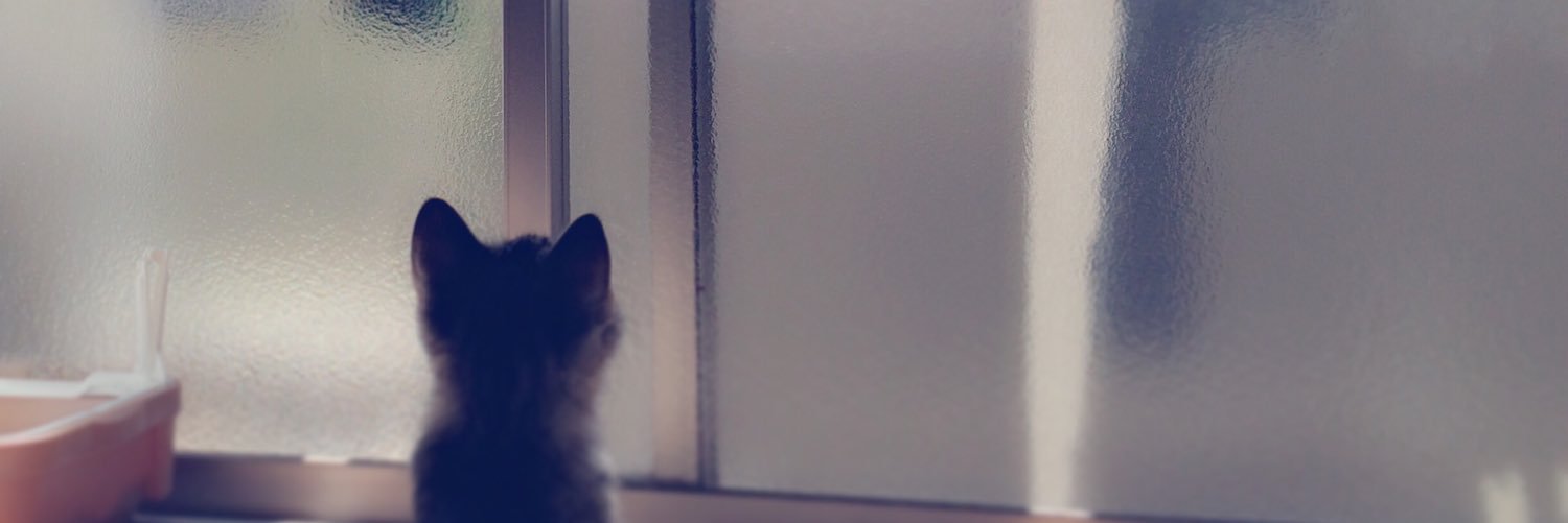 _yakuchu's profile banner image