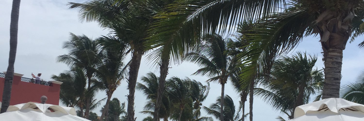 jayMarie_bummy's profile banner image