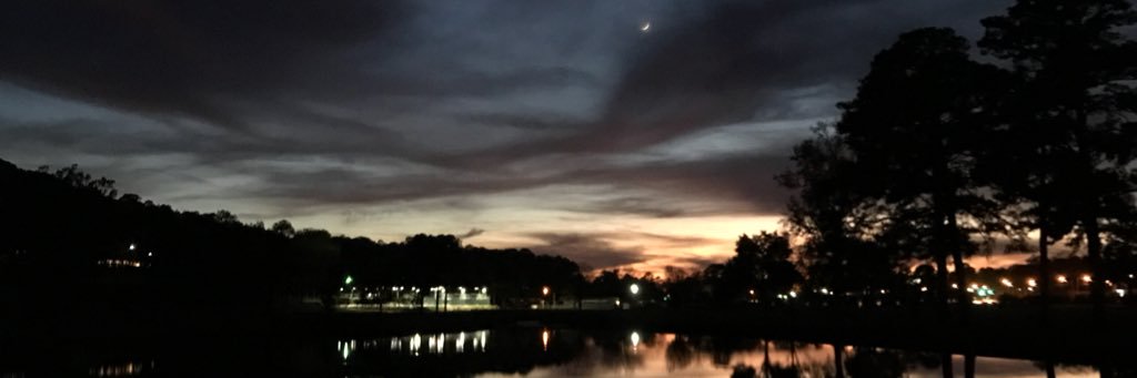 Very Stable Genius banner