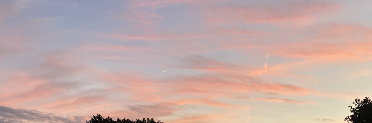 α banner