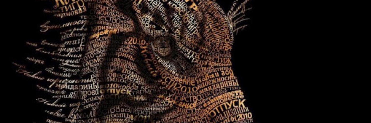 diegogarcb's profile banner image