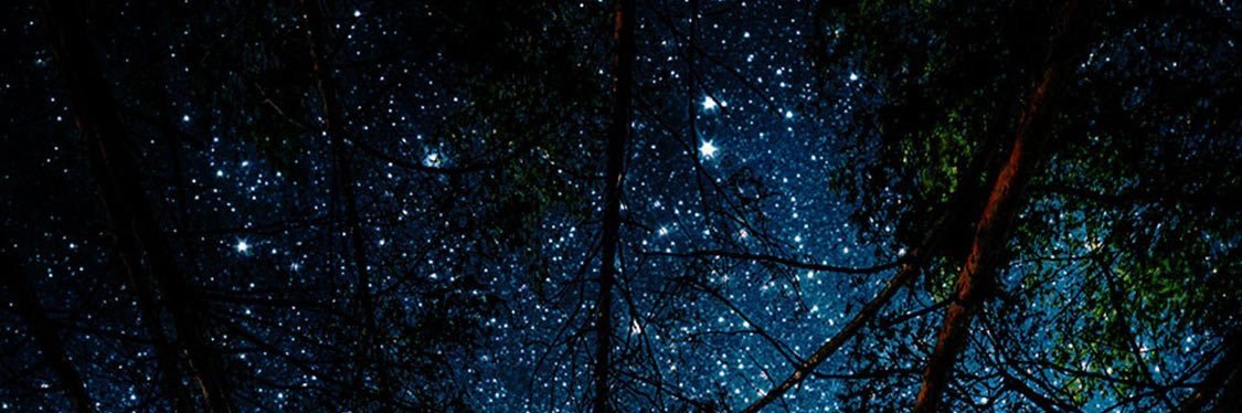 Trex_mdd's profile banner image
