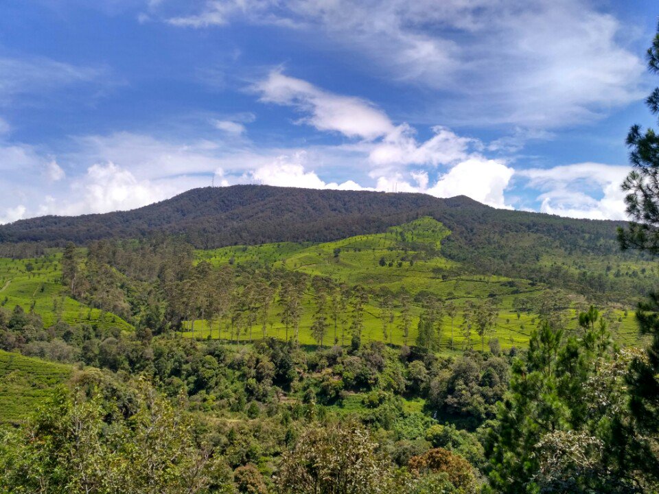 mutiaravinny's profile banner image