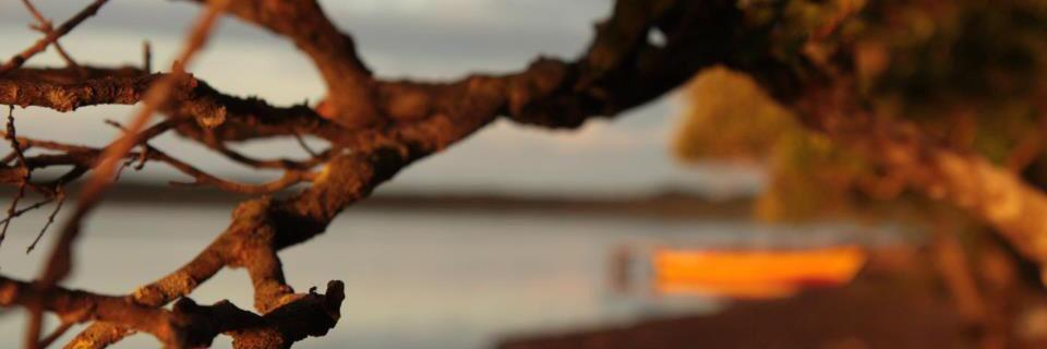 jessehakim's profile banner image