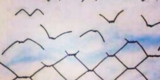 evita_HA's profile banner image