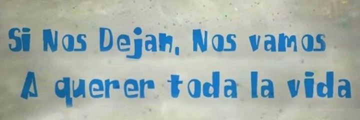 rociocabrera475's profile banner image