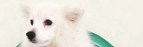 vishwas_g's profile banner image