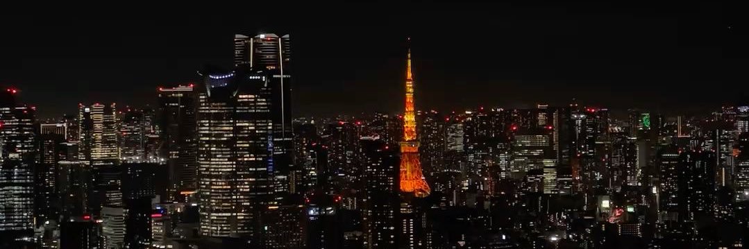 noiremusee's profile banner image