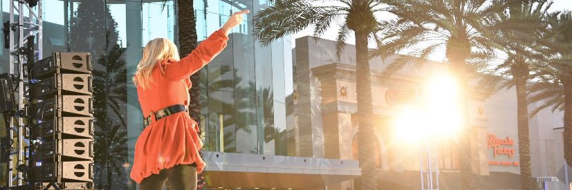 Renee Adams DJ banner